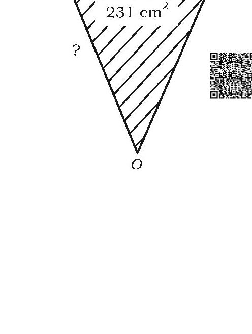 Question 39 image