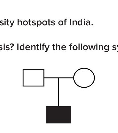 Question 27 image