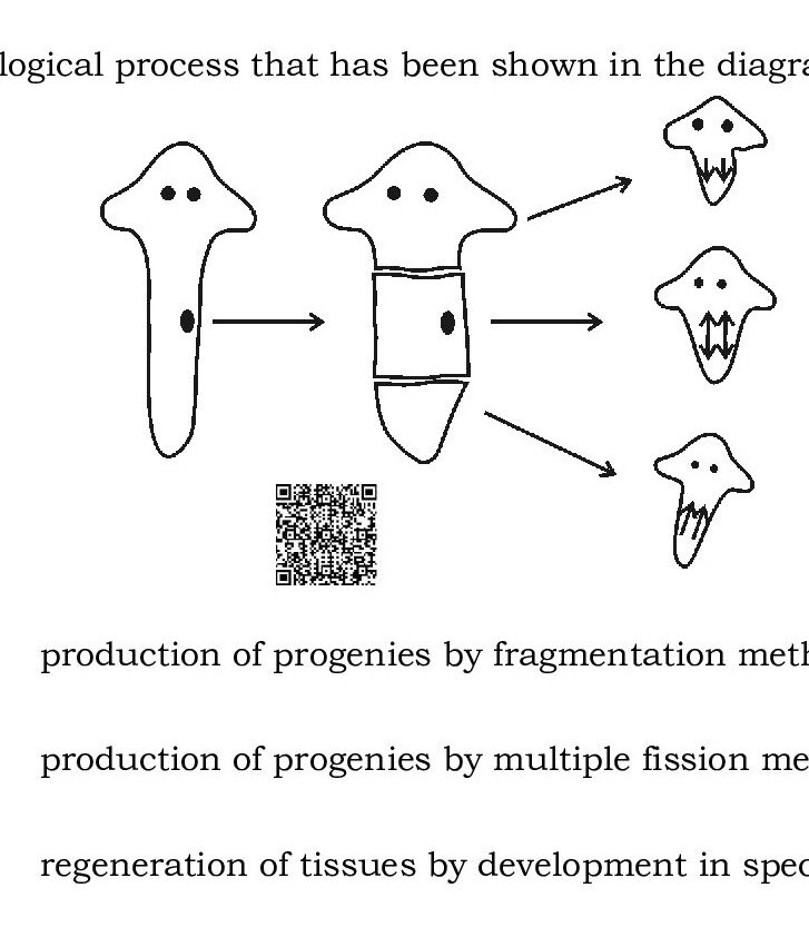 Question 31 image
