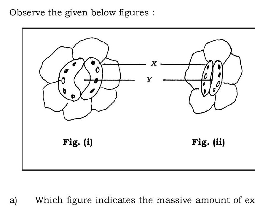 Question 45 image