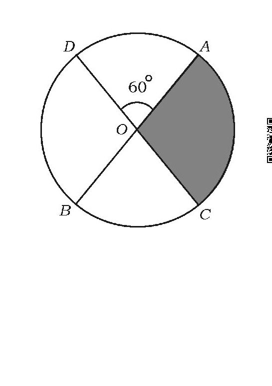 Question 46 image