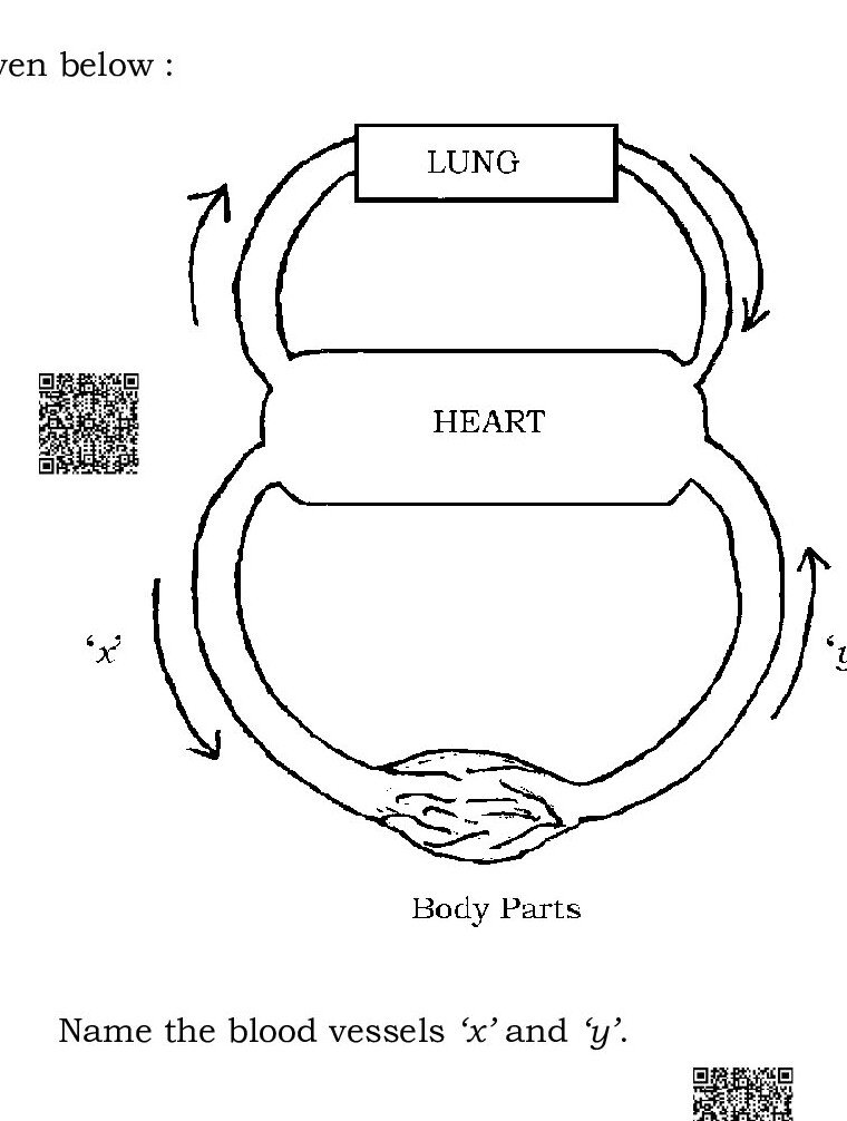 Question 37 image
