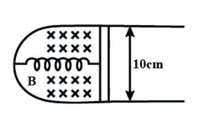 Question 19 image