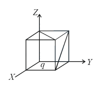 Question 28 image