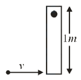 Question 18 image
