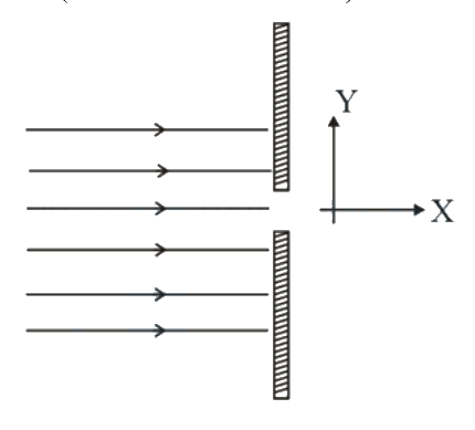 Question 17 image