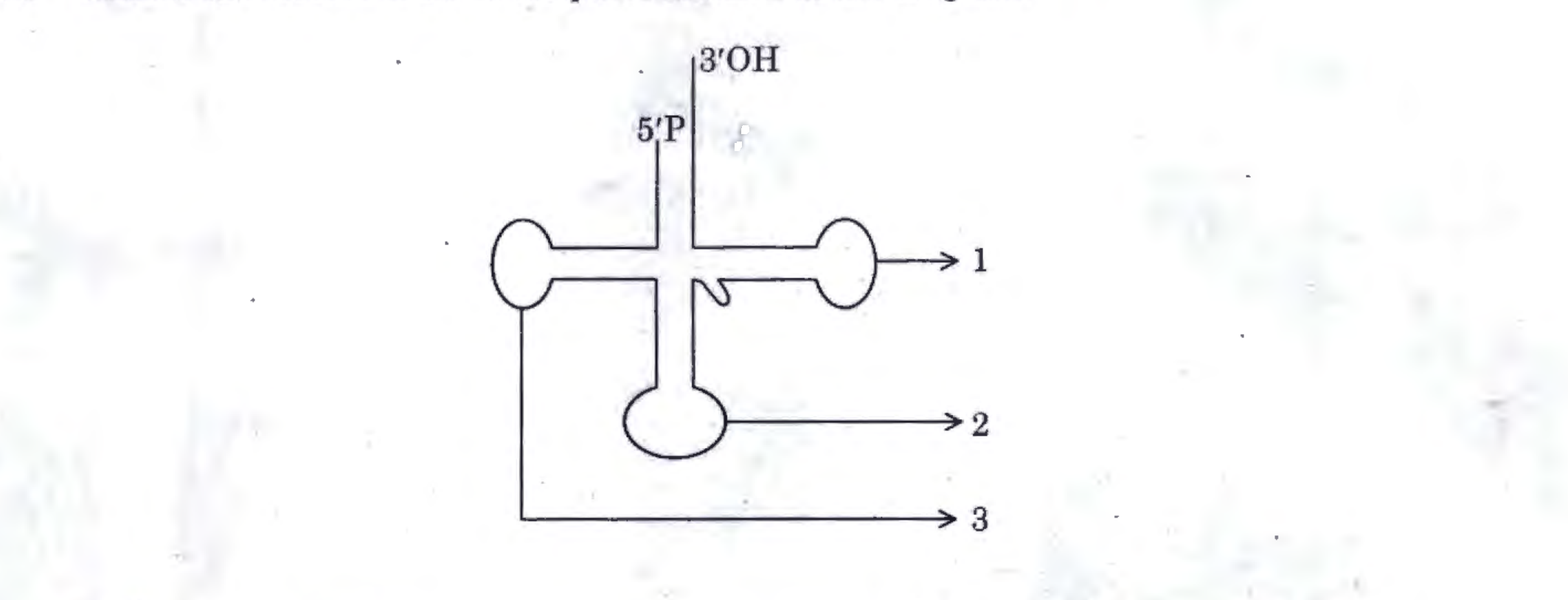Question 3 image