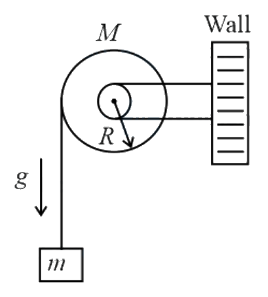 Question 16 image