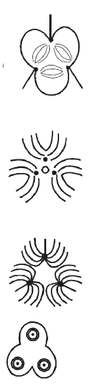 Question 28 image