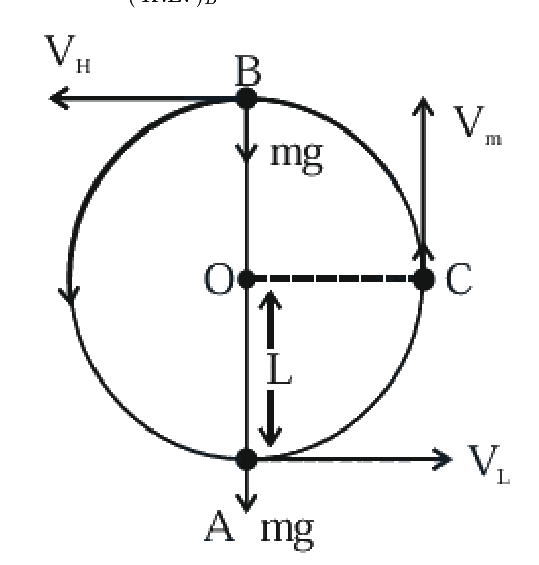 Question 26 image
