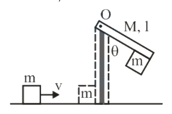 Question 15 image