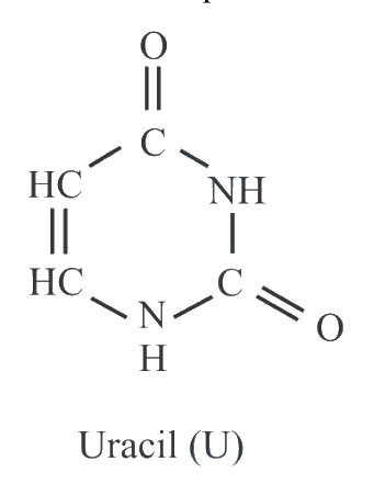 Question 43 image