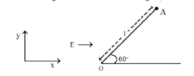 Question 48 image