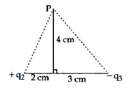 Question 11 image