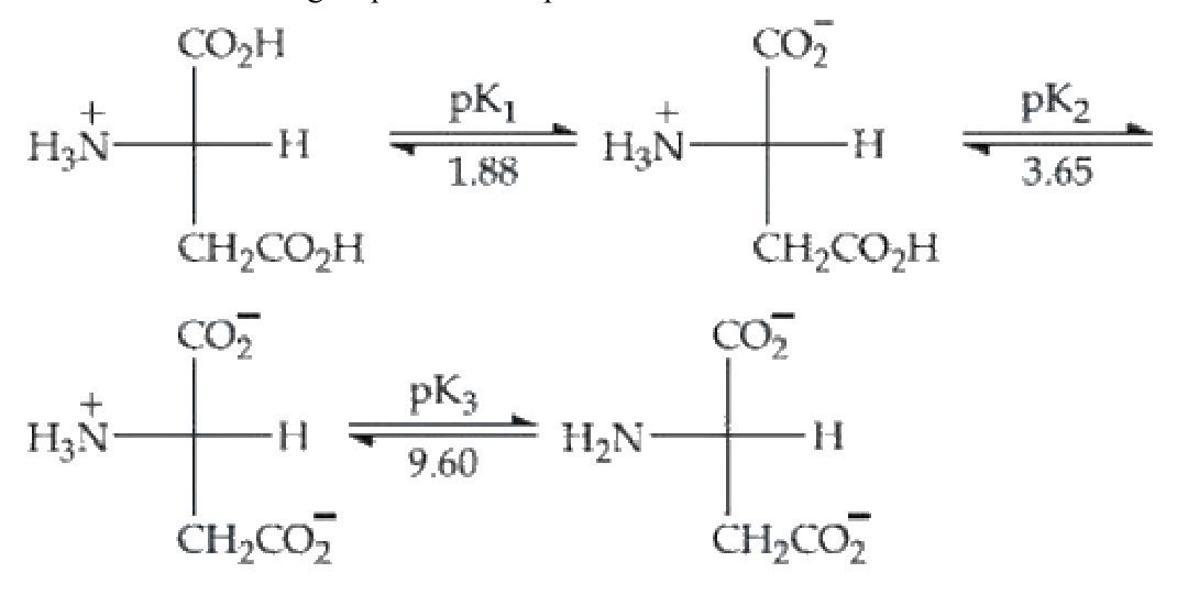Question 31 image