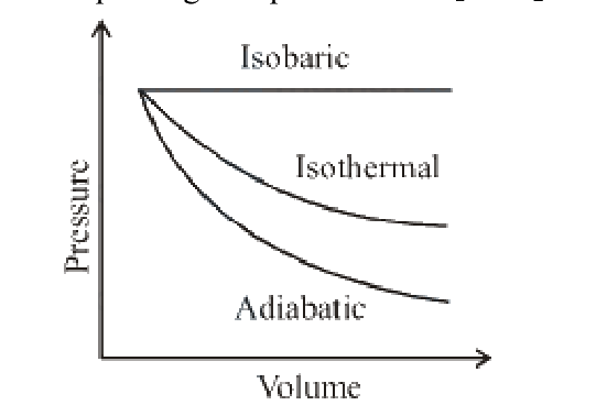 Question 19 image