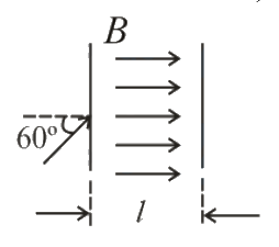 Question 13 image