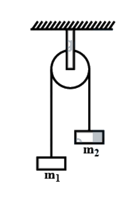 Question 13 image