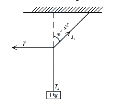 Question 5 image