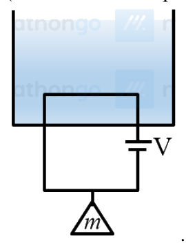 Question 8 image