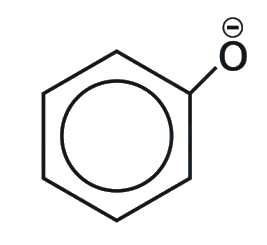Question 34 image