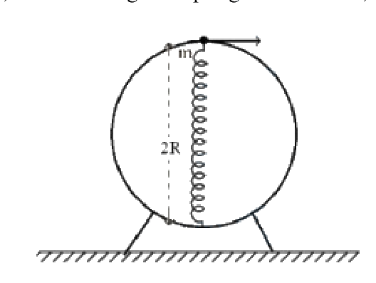 Question 28 image