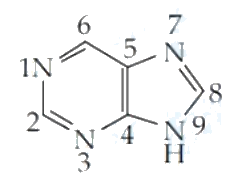 Question 44 image