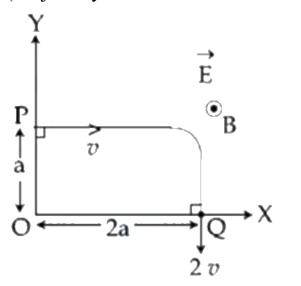 Question 5 image