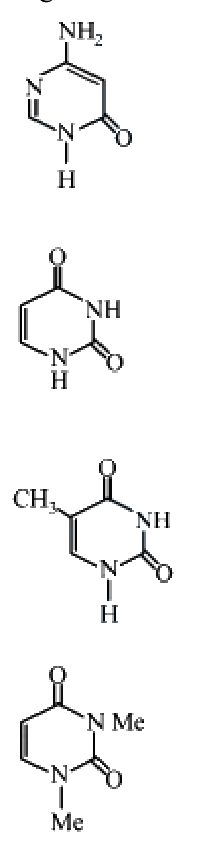 Question 31 image