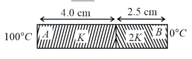 Question 7 image