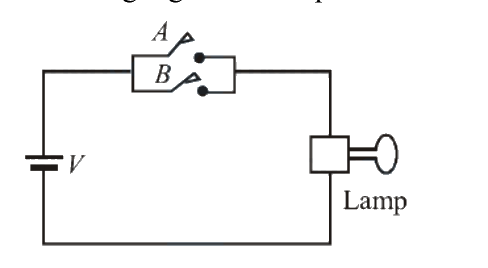 Question 13 image