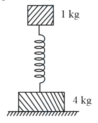 Question 28 image