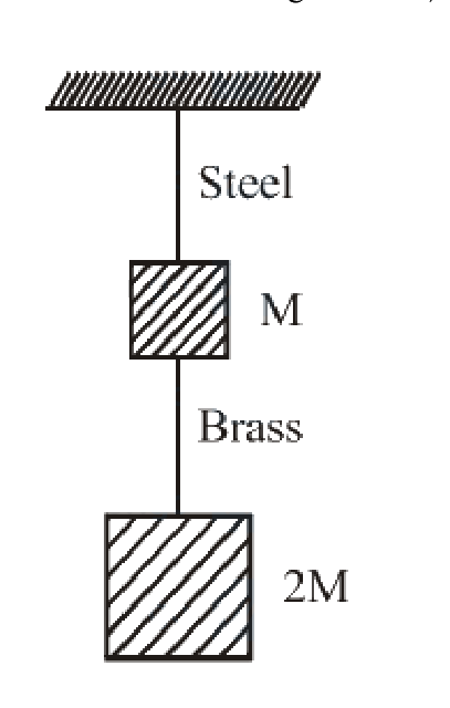 Question 11 image