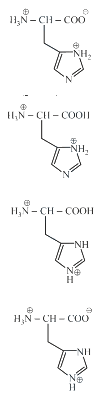 Question 48 image