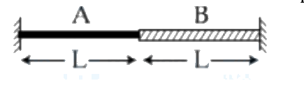 Question 13 image