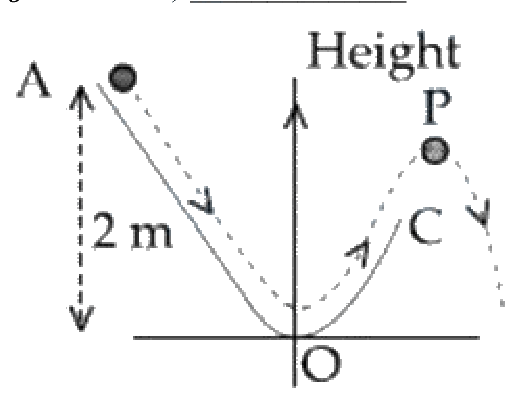 Question 23 image