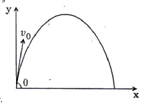 Question 10 image