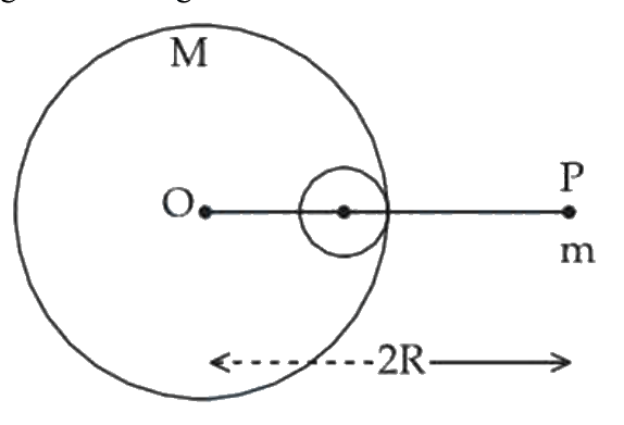 Question 31 image