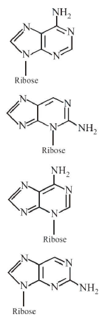 Question 51 image