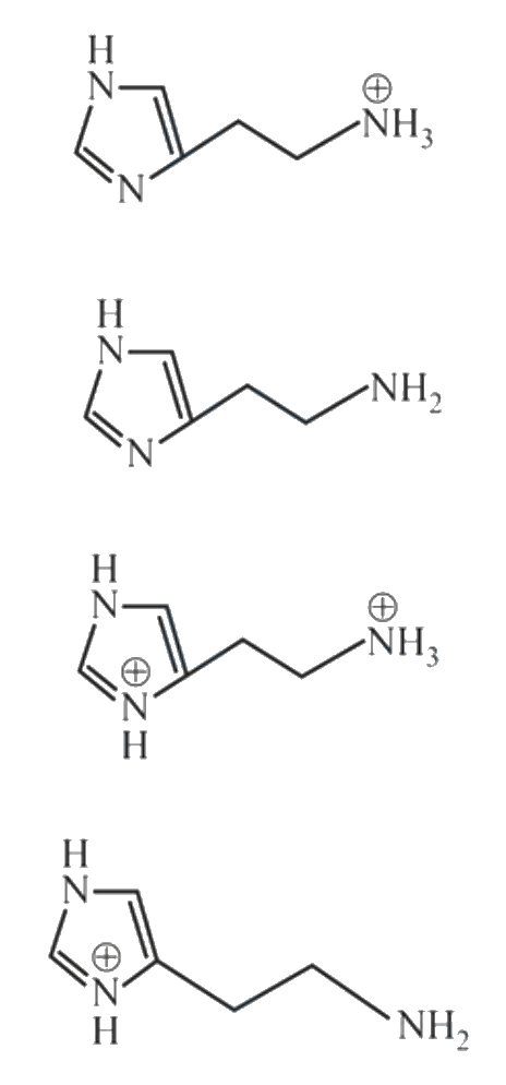 Question 73 image