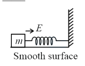 Question 9 image
