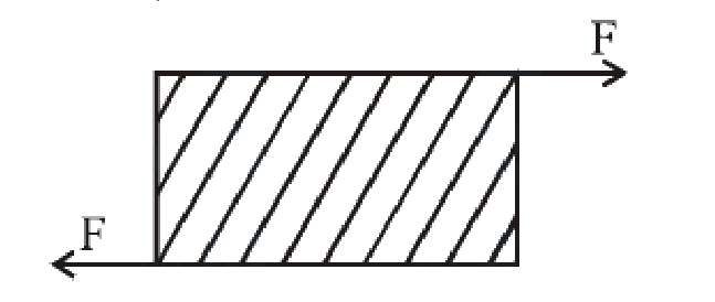 Question 13 image