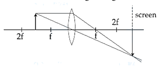 Question 30 image