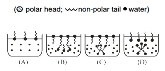 Question 34 image