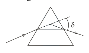 Question 8 image