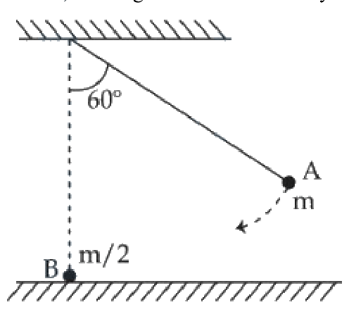 Question 46 image