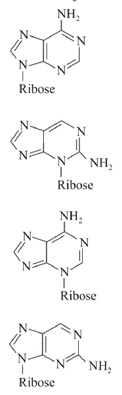 Question 44 image