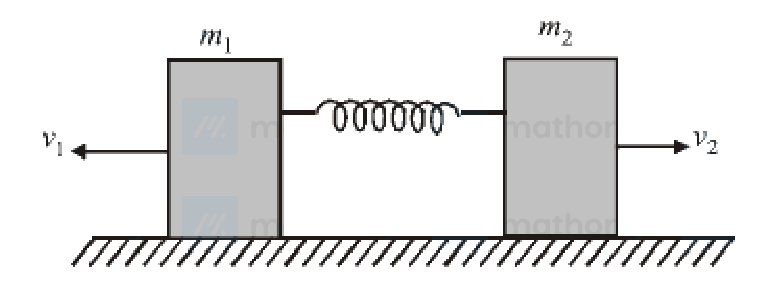 Question 11 image