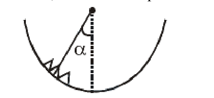 Question 12 image