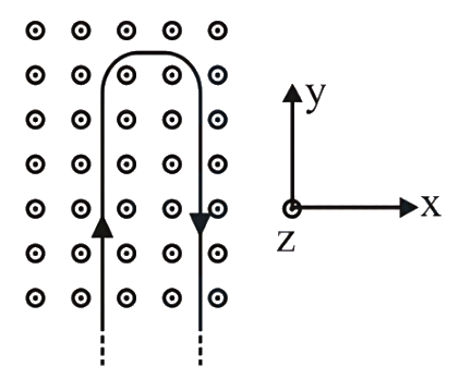 Question 23 image